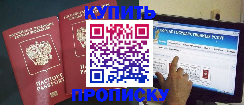 где прописаться в Ельне